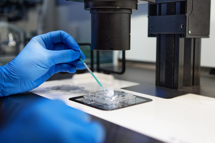 Photo shows a person analysing cell samples in a clinical fertility laboratory/Getty Images/Abraham Gonzalez Fernandez